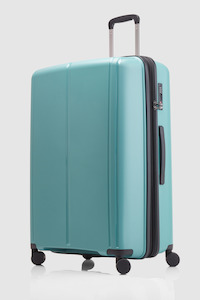 Birch Check-In 75cm Suitcase