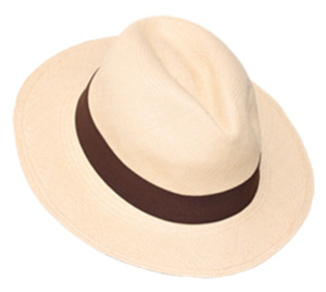 Products: Makers and Providers Panama Tan strangelynormal