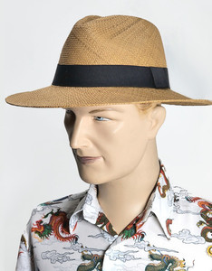 Panama Fedora strangelynormal