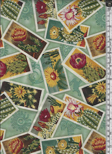 Products: 71. Cactus strangelynormal