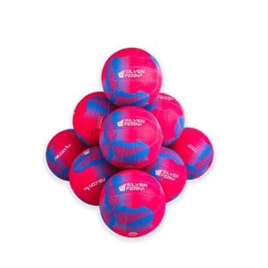 Products: 10 x Silver Fern Falcon Netball Size 5 Kit