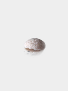 Tsuki – FACE Sponge – Studio 31