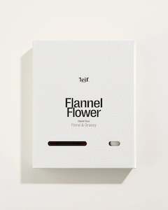 Flannel Flower Duo Small