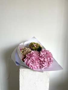 Valentines Hydrangea