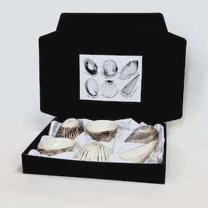 Plates And Platters: Dipping Shell Set (6) - White