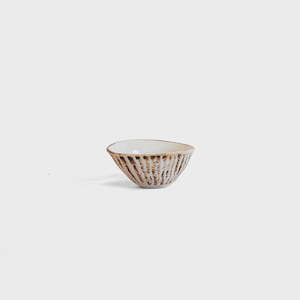Dipping Shell Limpet - White