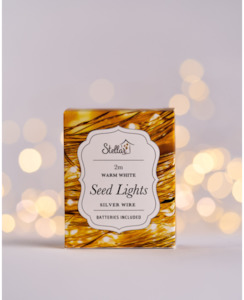 Lighting: 2m Silver Wire Seed Lights - Warm White