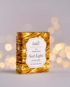Lighting: 2m Silver Wire Seed Lights