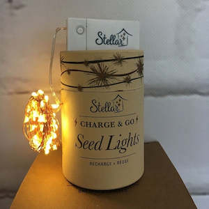 Lighting: Charge & Go seed lights 3m - Silver