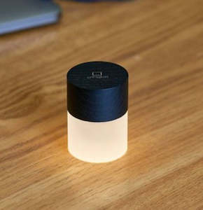 Gingko - Black Wood - Lemelia LED Light