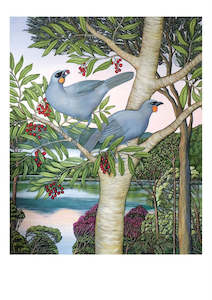 Cards Stationery: Clare Reilly - Kokako Feasting In The Upper Harbour - Card