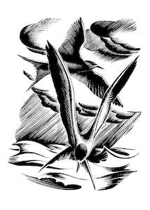 Cards Stationery: E. Mervyn Taylor - Terns - Card