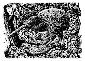 E. Mervyn Taylor - Kiwi - Card