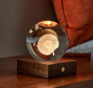 Gingko - Walnut Dandelion - 3D Laser Engraved LED Light