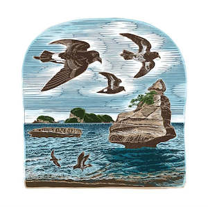 Wolfkamp & Stone - NZ Storm Petrels - Card