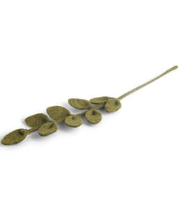 Branch - Sharp Leaves