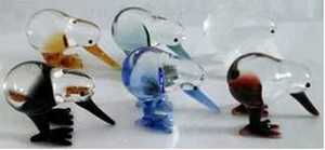 Glass: Glass Micro Kiwi