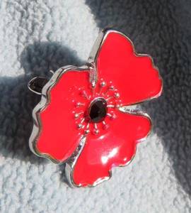 Fashion Jewellery: Poppy Brooch