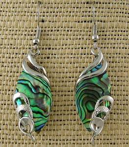 Fashion Jewellery: Paua Water Drop Earrings