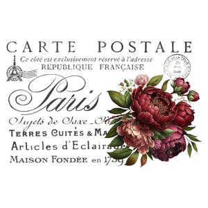Catalog: White Cloud Transfer - Carte Postale 6