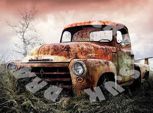 Dragon Fly: Rusty Pickup - Rice Paper