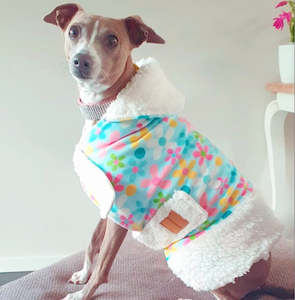 Dog Cat Fashion: STYLECOM.NZ • DAISY SHERPA DOG COAT - SIZE M 40cm