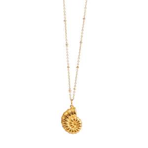 Pure Steel 14K Snail Shell necklace