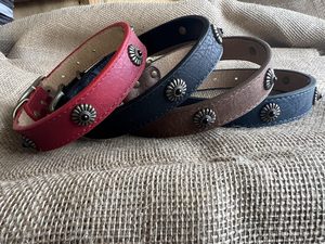 Dog Collar with Brass Metal Accessory with Black Gem - Styley Pets