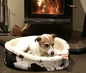 Products: Pet Bed - Styley Pets