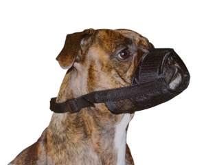 Products: Dog Muzzle - Styley Pets