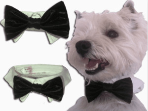 Products: Formal Bow Tie & Collar for Dogs - Styley Pets