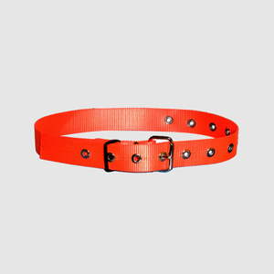 Web Belt With Metal Buckle & Eyelets