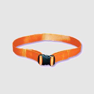 Safety: Web Belt with Plastic Buckle