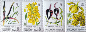 Solomon Island Orchids part 2