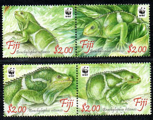All: Lizards - Crested Iguana