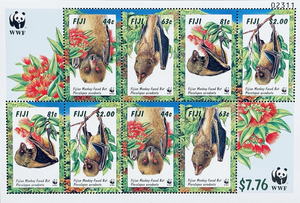 All: Monkey-faced Bat
