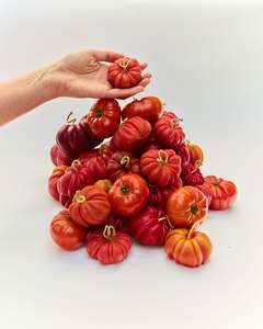 Heirloom Tomato Small in Orange