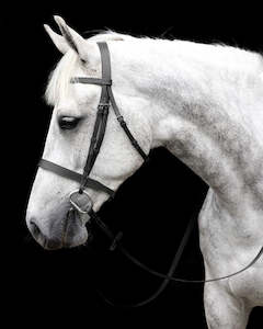 New 1: Cavallino Show Bridle