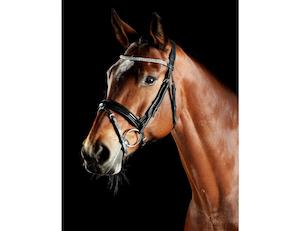 Collegiate ComFiTec Luna Bridle