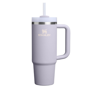 Stanley Quencher Water Bottle 30oz - Purple Dust