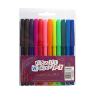Craft Coloured Felt Pens 12pc