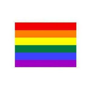 Flags: Flag Rainbow Indoor Wall 5x3