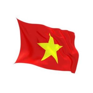 Flags: Flag Vietnam Indoor Wall 5x3