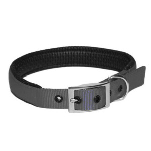 Leads Collars: Nylon Collar Padded 19 x 485mm - Black
