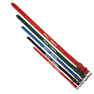 Leads Collars: Coloured Leather Collar 30 x 660mm - Blue