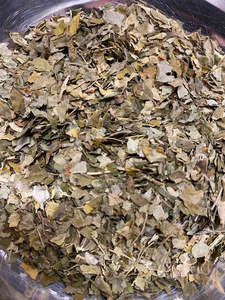 Frontpage: Moringa Leaf -