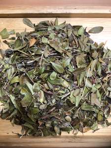 Frontpage: Bearberry Uva-ursi leaf - Urinary Tract Antiseptic