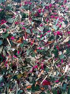 Herbal Teas: Heke Homemake Herbals - Aotearoa Ahi