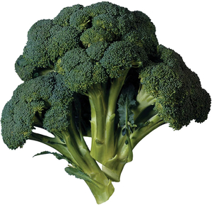 Broccolli (Each) - Sunrise Fresh