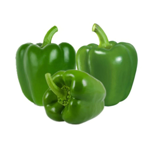 Capsicum Green (Each) - Sunrise Fresh